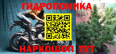 прущая мука Можайск