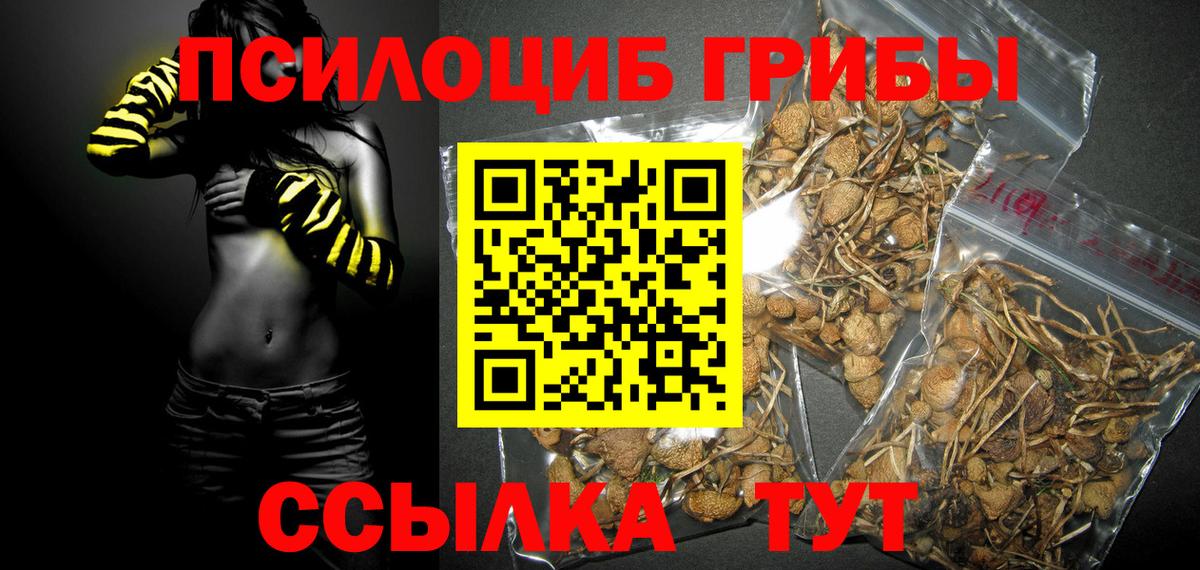 Верхняя Салда  Галлюциногенные грибы GOLDEN TEACHER  цена   Вход с VPN 